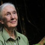 Jane Goodall Family Wife Children Dating Net Worth Nationality